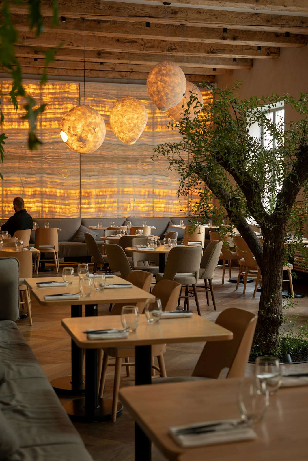 A warm restaurant dining room with woven pendant lights and a tree