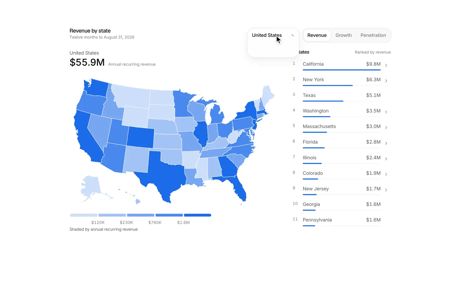 Choropleth explorer: A map that shades every region by revenue, growth or penetration.